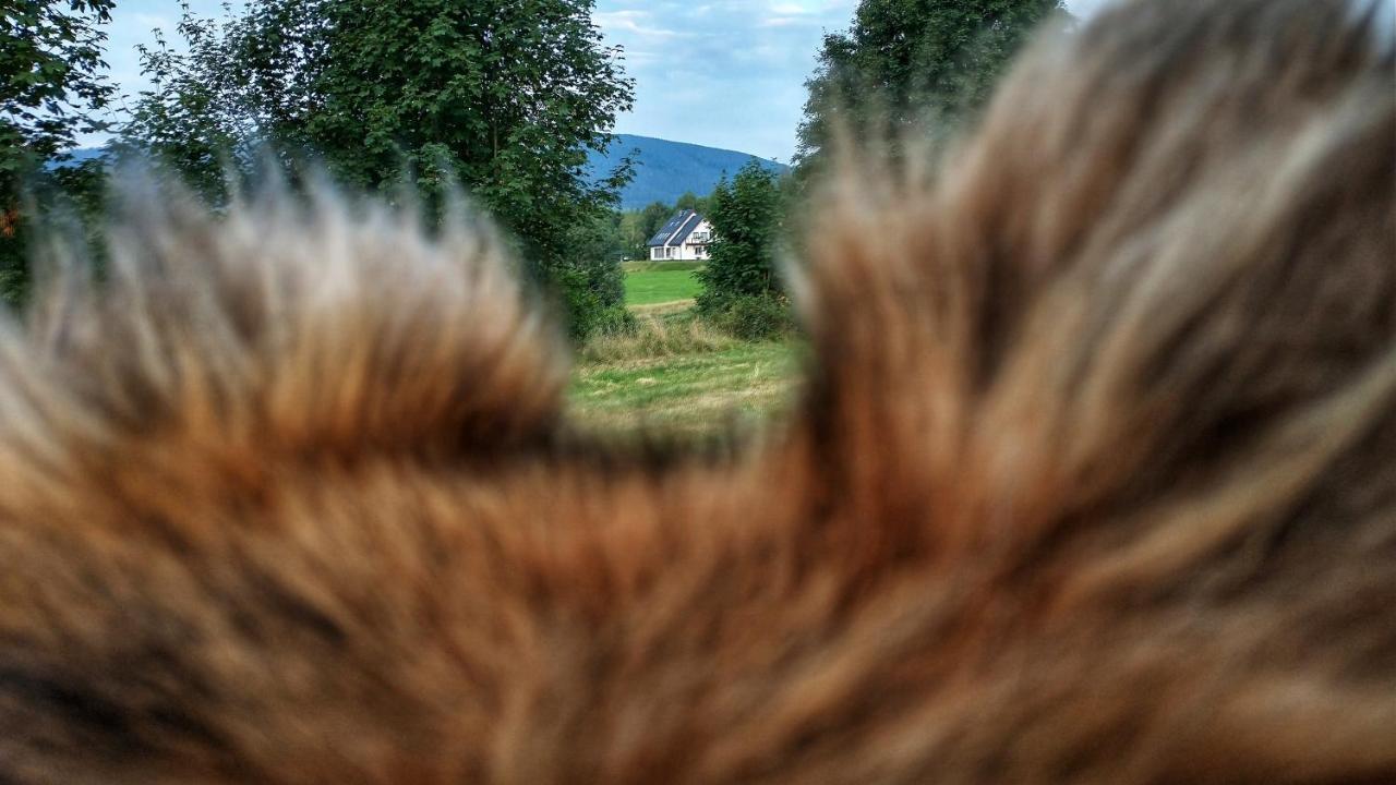 Rezydencja Ostoja Stronie Slaskie Bagian luar foto