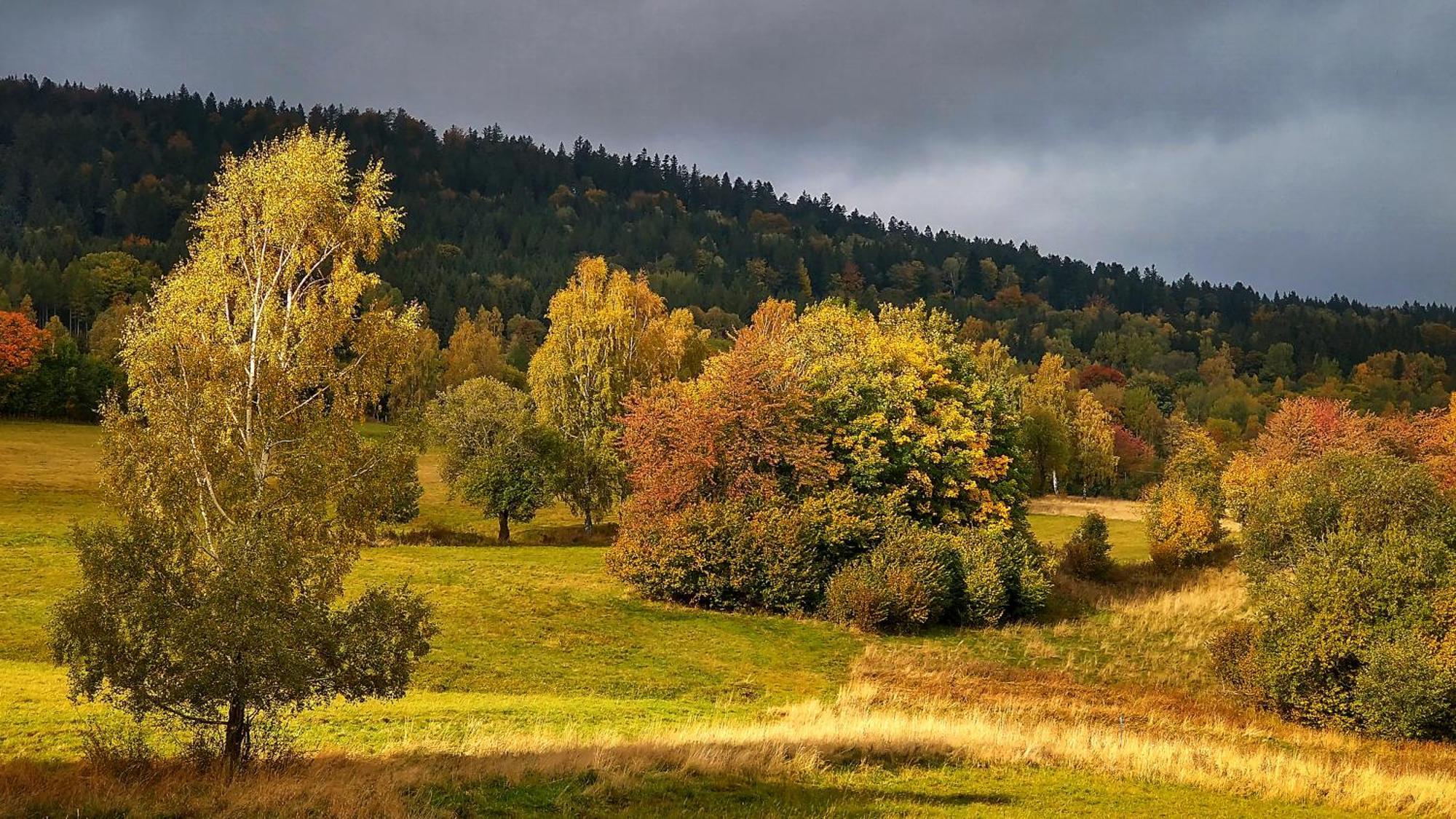 Rezydencja Ostoja Stronie Slaskie Bagian luar foto