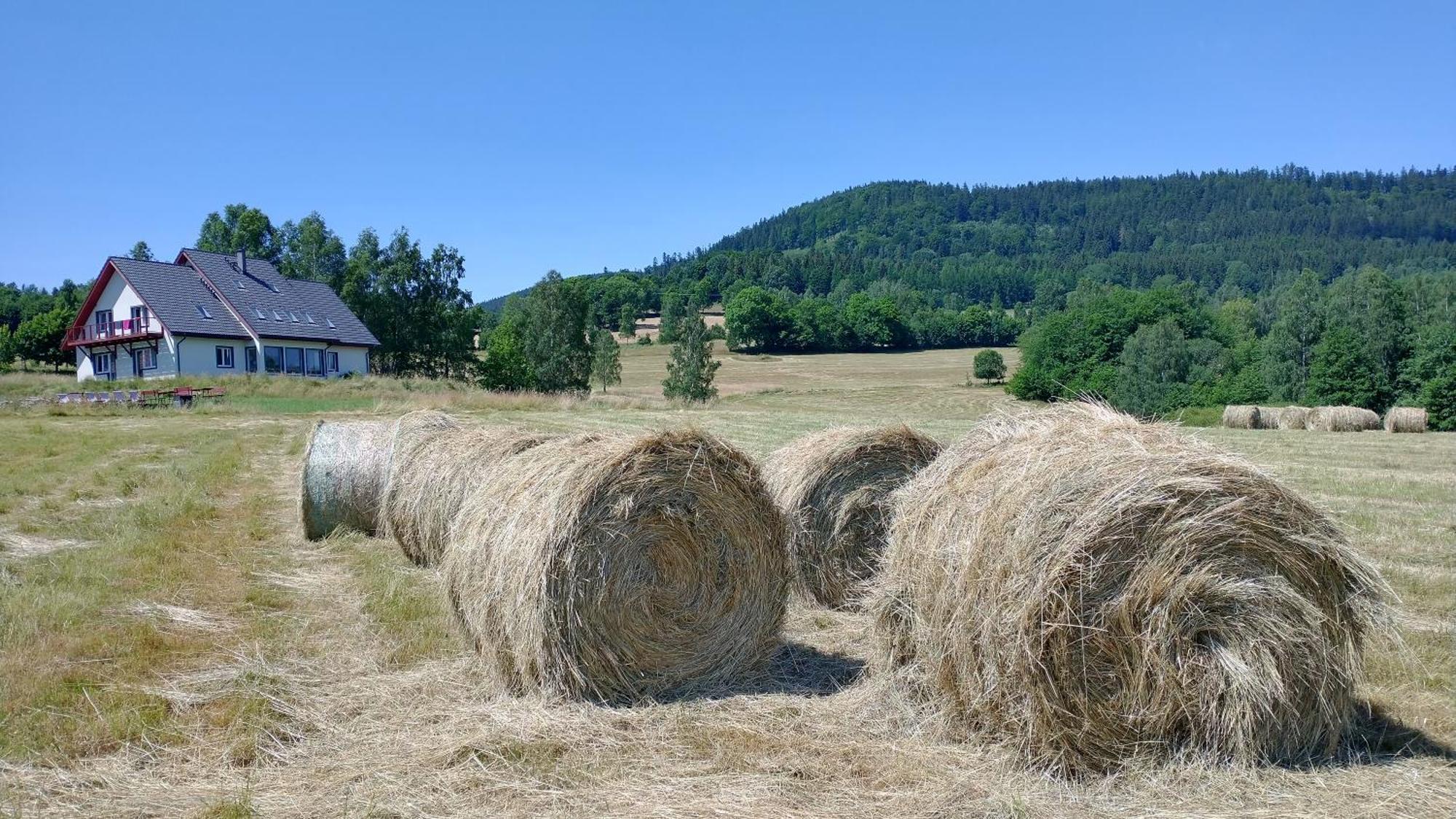 Rezydencja Ostoja Stronie Slaskie Bagian luar foto
