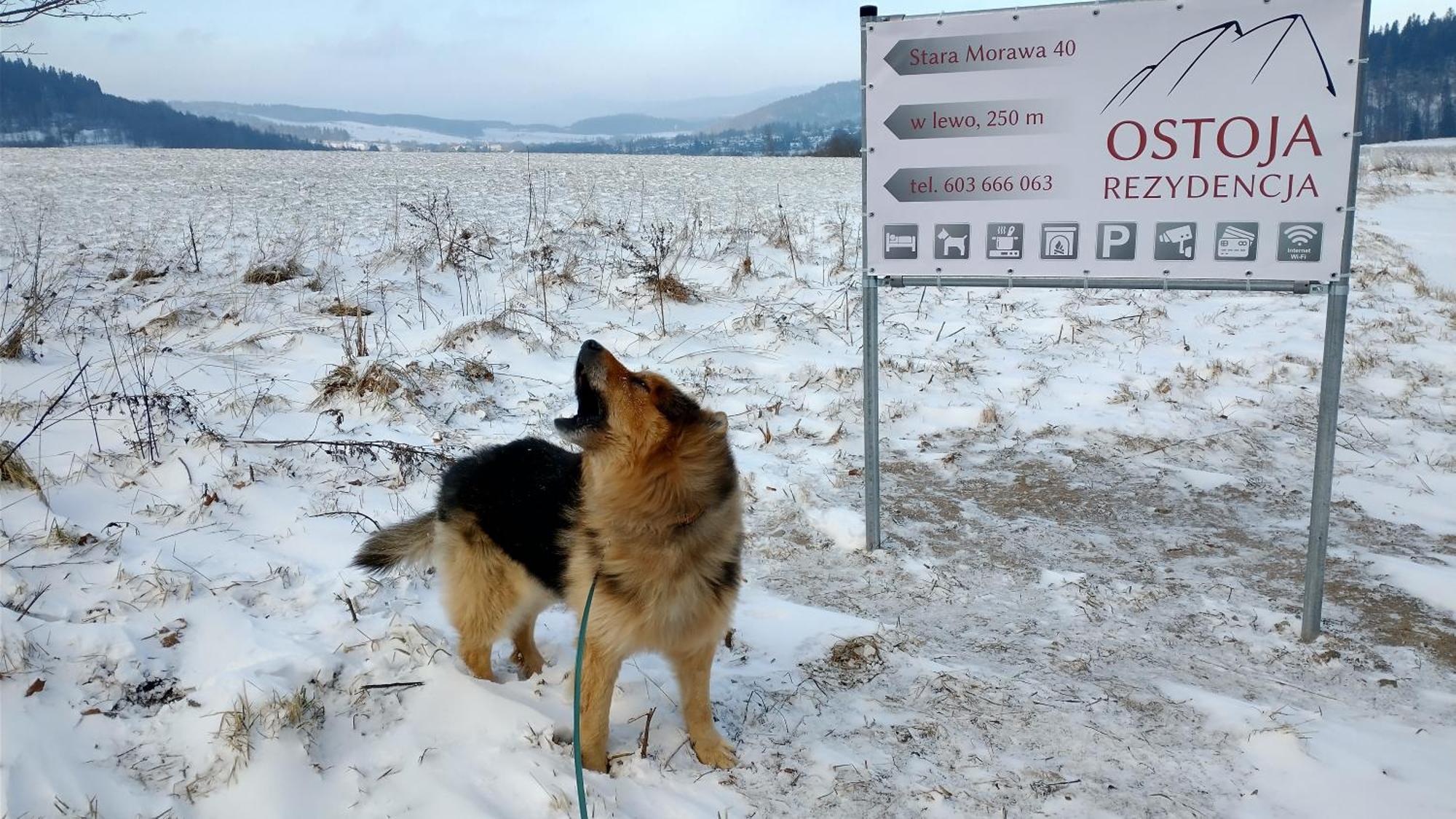 Rezydencja Ostoja Stronie Slaskie Bagian luar foto
